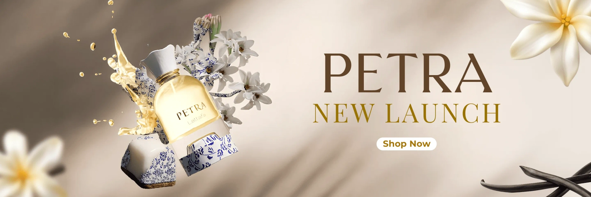 Petra-Website-Banner.webp
